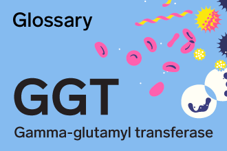 BGS-glossaire-GGT-mot-annee-infolettre-330x220-EN