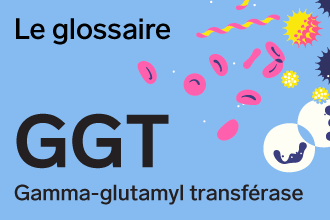 BGS-glossaire-GGT-mot-annee-infolettre-330x220