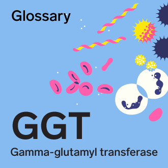 BGS-glossaire-GGT-mot-annee-infolettre-330x330-EN