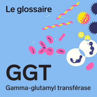 BGS-glossaire-GGT-mot-annee-infolettre-330x330
