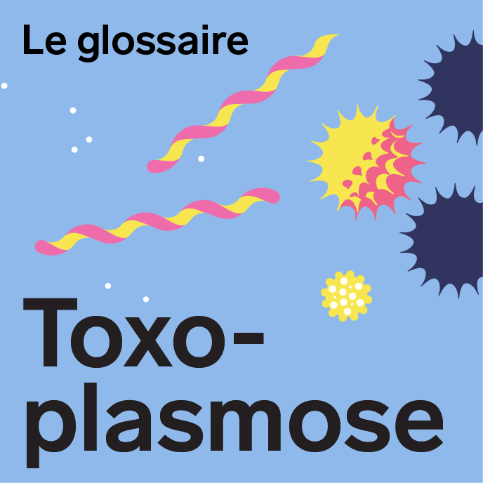 BIRON-infolettre_v01_Toxoplasmose-330x330-FR