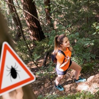 ticks-hiking-forest-lyme-disease (330x330)